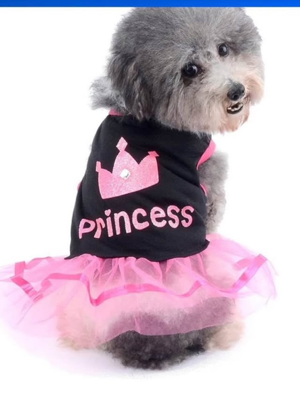 New Dog/cat Dress for Small Dog Girl Puppy Clothes Female Princess (L)